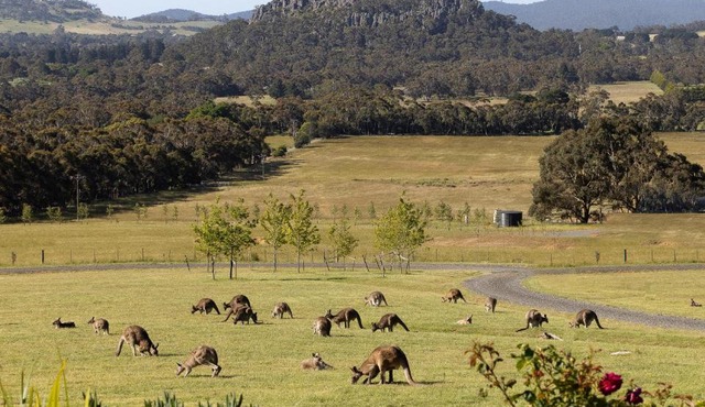 Hanging Rock Views