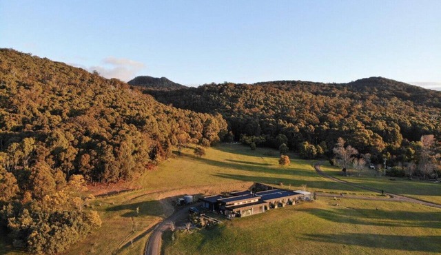 Hanging Rock Views, Queen Suite in classic bush setting