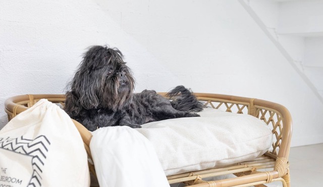 Hanks Corlette House, 49 Pantowora St - pet friendly, air con, boat parking, Wi-Fi