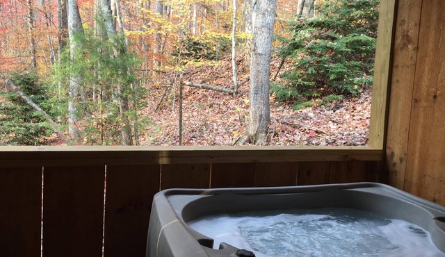 Hanky Panky – Secluded Mountain Cabin with Hot Tub & Rustic Charm