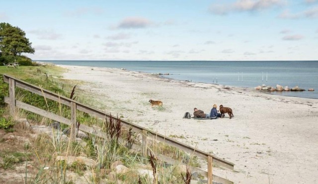 "Hanna" - 50m from the sea by Interhome