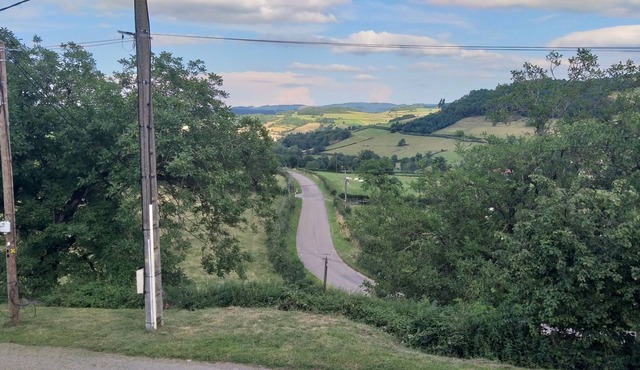 Happiness is in the meadow, breathtaking view