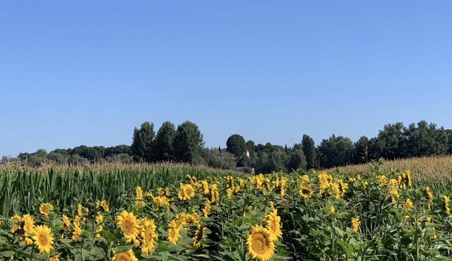 Happiness in the countryside!