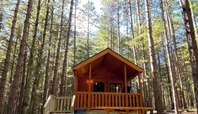Happy Bear Log Cabin near Cook Forest State Park