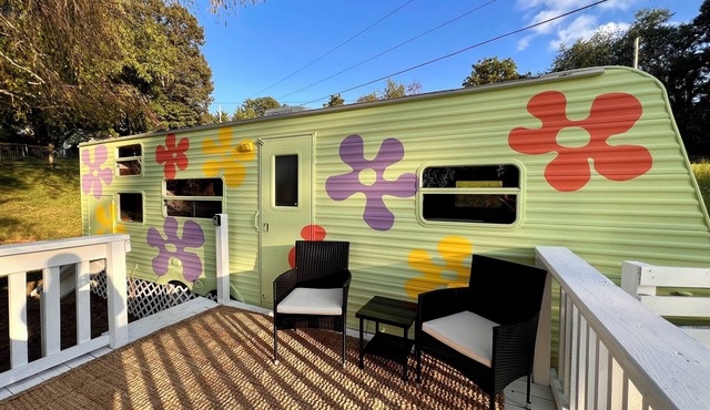 Happy Hide-Away Camper{18 minutes to Downtown AVL}