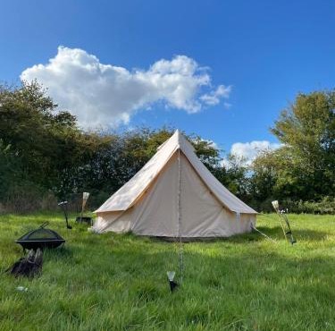 Happy Meadows - Mushroom Street