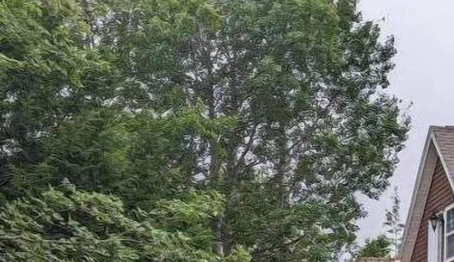 Happy Moose Guest Suite