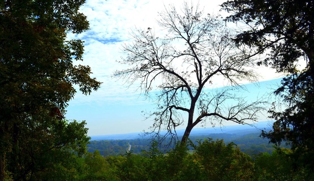 HappyHawk Cabin — Ozark Mountainview Retreat with Fireplace & BBQ