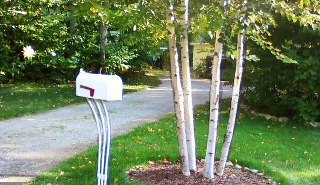 Harbor Springs Cottage In The Woods