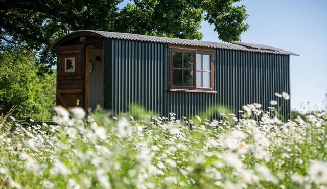 Harbour Ranch Hut - Rustic Countryside Escape