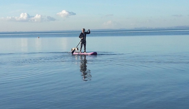 Harbour's Edge Homestay in Clarks Beach