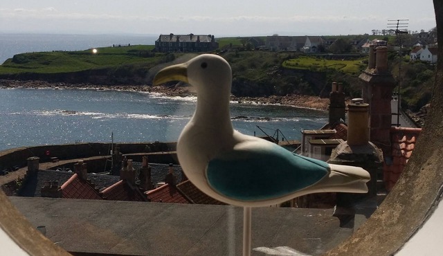 Harbour View Apartment