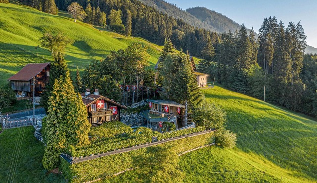 Hard work, passion, attention to detail, and countless weeks of his own time were invested by the ow