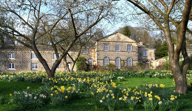 Harewood Estate Cottages