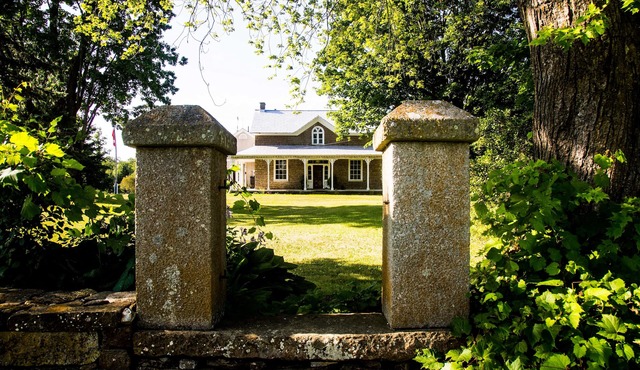 Harlem Stonegate B&B