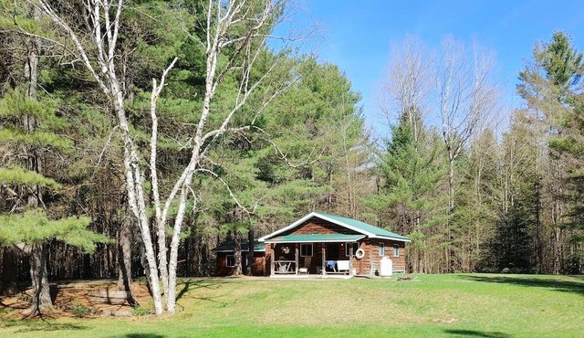 Harlowe Hideaways Cabin in the woods