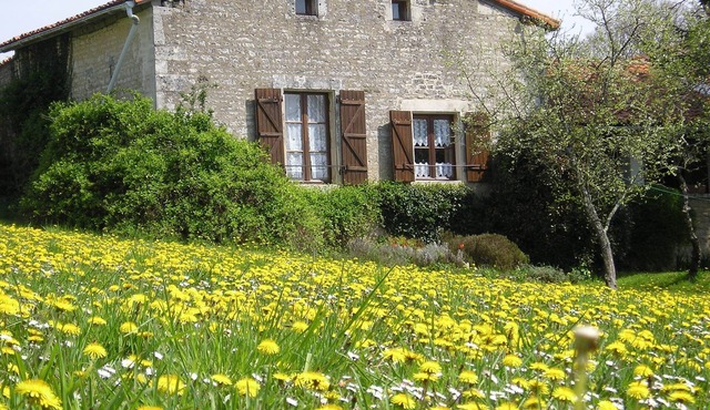 Harmonie Has Lovely Country Views And A Relaxing Walled Courtyard Terrace With Splash Pool