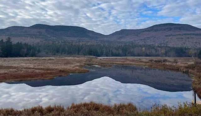 Harmony Mountain House - Nature & Nurture