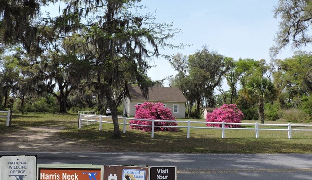 Harris Neck National Wildlife Refuge Cabin - Suite B