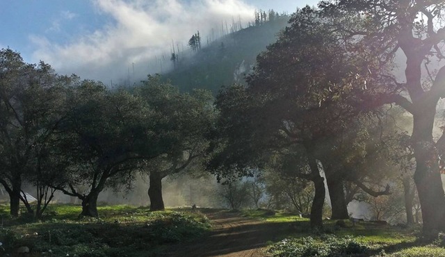 Harrison Serenity Ranch - Groups over 50