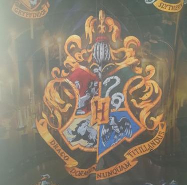 Harry Potter theme Double room in shared house