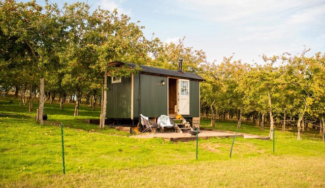Harrys Hideout - Shepherd's Huts at Harrys Cottages