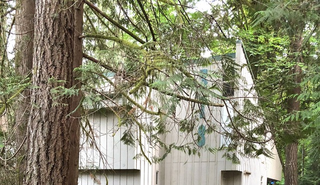 Harstine Island Getaway