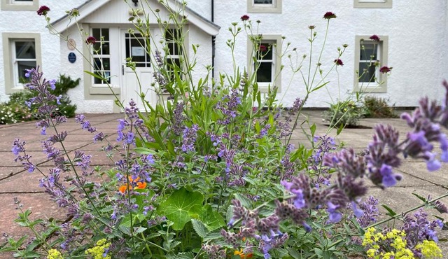 Hartfield House Hostel