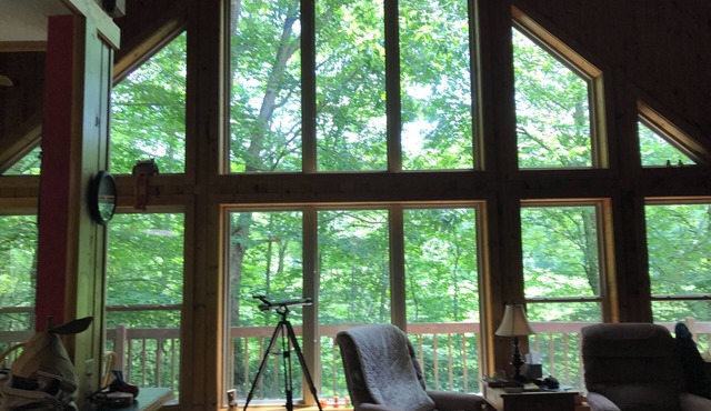 Hartford Hideaway! Soothing cabin in the Smokies.