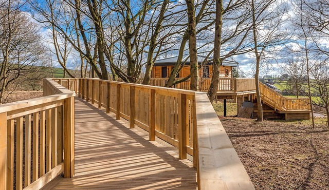 Hartington Treehouses