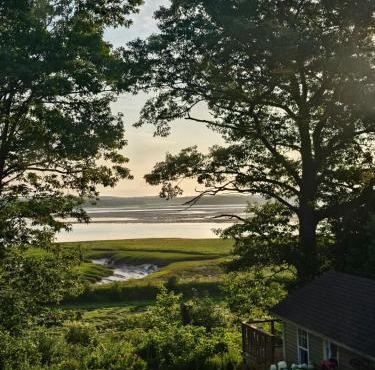 Hartlin's Haven