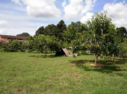 Harum Manis Country House