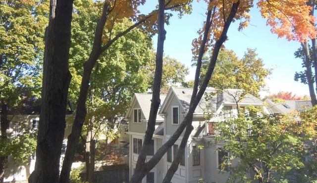 Harvard Square Home in Heart of Cambridge!