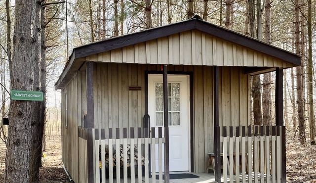 HARVEST MOON - ROMANTIC - OFF GRID - WINE TRAIL CABIN - Pet Friendly! 4 Seasons