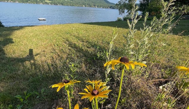 Harvey Lake 3BR Garden Apartment-Lakefront-Private Dock-Fireplace -Full Kitchen
