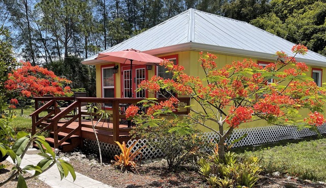 Has all of the modern comforts-hidden in the palm and mango groves.