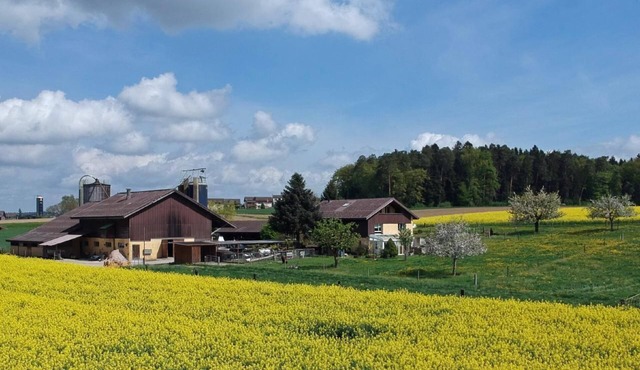 Hasler's farm
