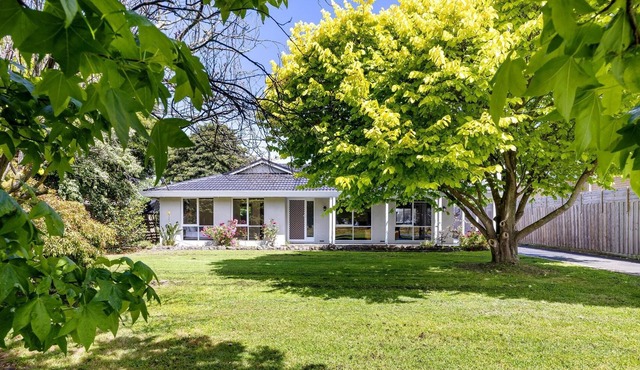 Hastings by the Bay - Renovated, spacious house, close to beach