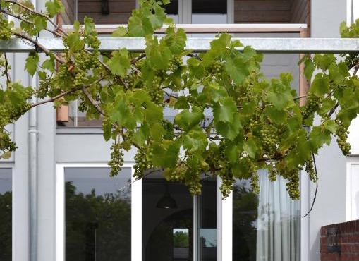 Haus 13 Eutin in Eutin