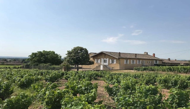 Haut oak cottage in the heart of the Beaujolais vineyard