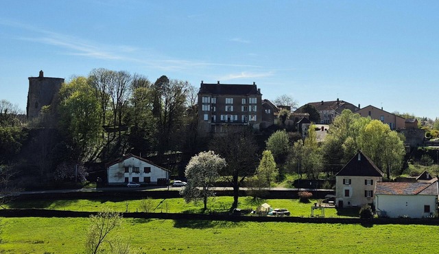 Haute-Saône, Southern Vosges, Chateau 15 people, 7 rooms, 1 DSB, 1SDD