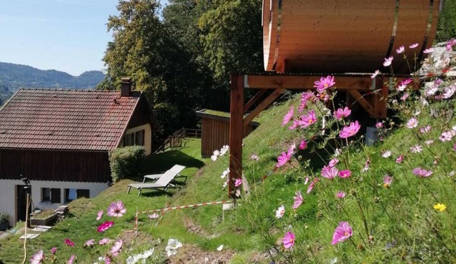 Hautes Vosges Le Ménil Chalet Avec Sauna Tonneau