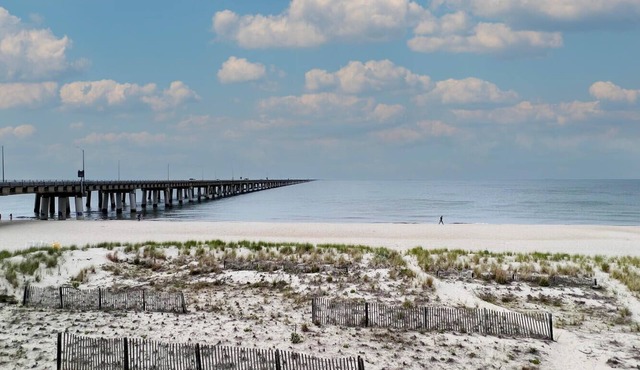 Have a truly unforgettable experience while on vacation