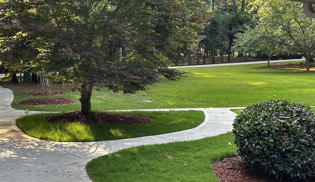 Have fun with the whole family at this stylish place.