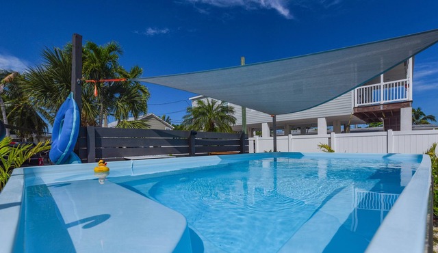 Have It All! Pool, Canal to the Gulf, Tiki Hut & Huge Dock.