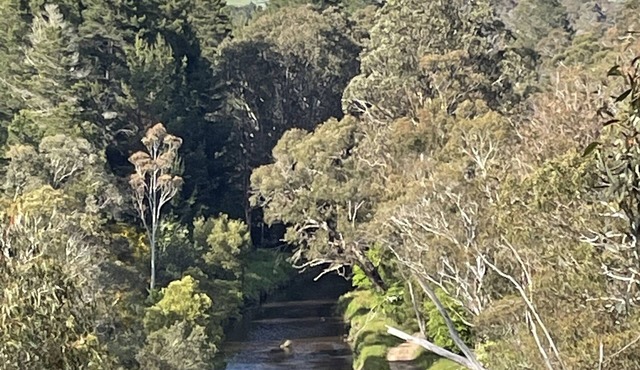 Haven in the Alps 2, Omeo apartment with adventure at your door step