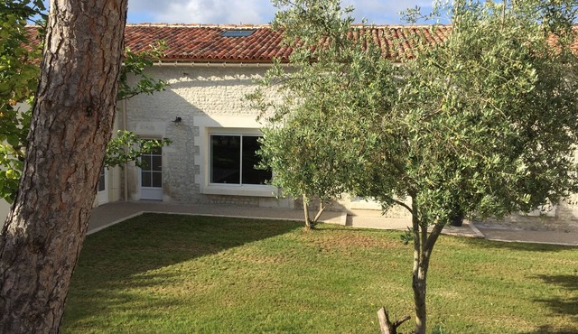 Haven of peace in the heart of the Charente vineyards