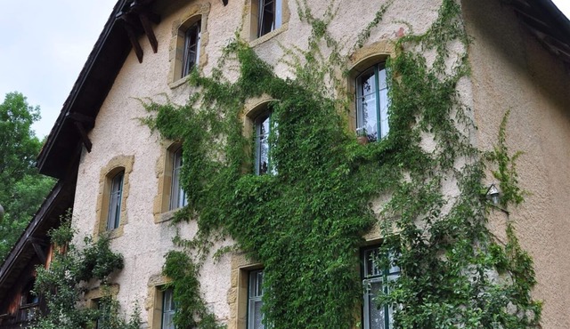 Haven of peace in the middle of a park