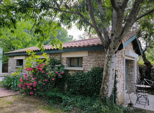 Havre champêtre en ville de Nîmes