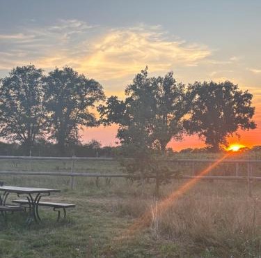 Havre de paix au cœur d'un domaine équestre